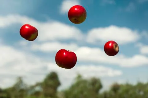 Ripe apples in zero gravity thrown into the air Stock Photos