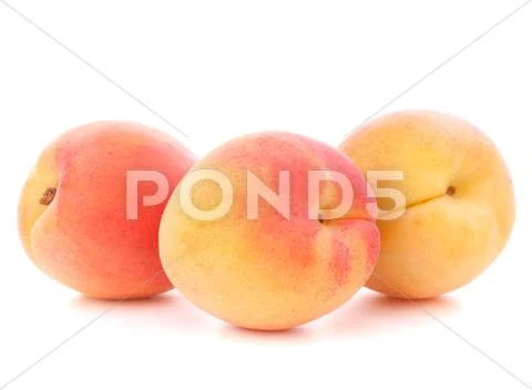 Ripe apricot fruit Stock Photos