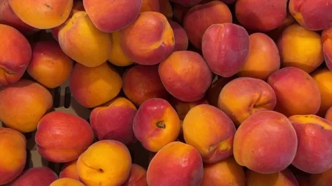 Ripe apricots displayed  in crate, tracking shot in top view on apricots Stock Footage 312522310