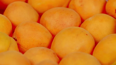 Ripe apricots isolated on a white background. Apricot fruits background. Stock Footage 164924320
