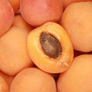 Ripe apricots Stock Photos