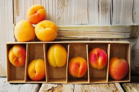 Ripe apricots Stock Photos