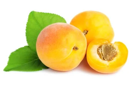 Ripe apricots Stock Photos