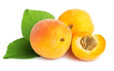 Ripe apricots Stock Photos