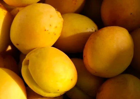 Ripe apricots Stock Photos