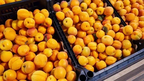 Ripe apricots piled in plastic boxes in a store Stock Footage 309464869