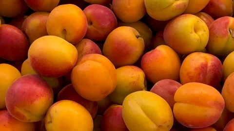 Ripe apricots in top view Stock Footage 277366139