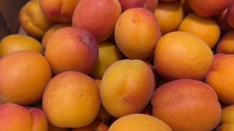Ripe apricots in top view Stock Footage 310569328