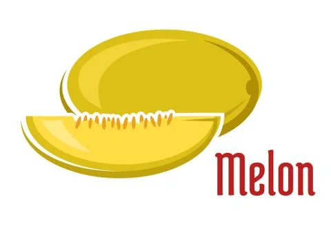 Ripe aroma melon fruit with slice Stock Illustration