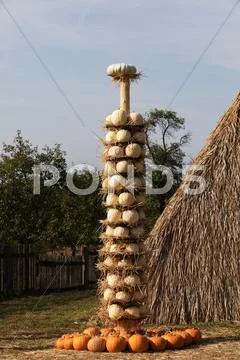 Ripe autumn pumpkins arranged on totem Stock Photos