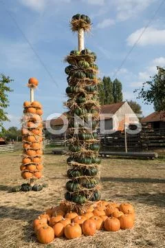 Ripe autumn pumpkins arranged on totem Stock Photos
