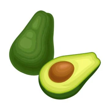 Ripe Avocado Fruit with Kernel Front View Vector Food Item Isolated on White Stock Illustration