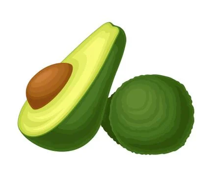 Ripe Avocado Fruit with Kernel Front View Vector Food Item Isolated on White Stock Illustration