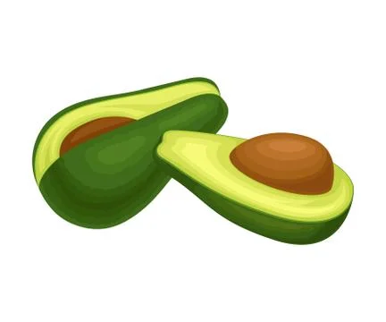 Ripe Avocado Fruit with Kernel Front View Vector Food Item Isolated on White Stock Illustration