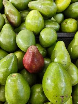 Ripe Avocado Stock Photos