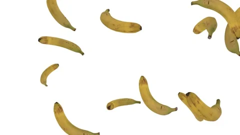 Ripe bananas are continuously falling spinning on a white background. Banana Stock Footage 155179550