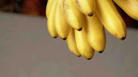 Ripe Bananas, Static Shot Stock Footage 293208610