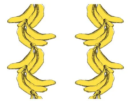 Ripe bananas vertical vector template seamless border frame. Hand drawn sketc Stock Illustration