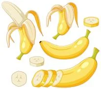 https://images.pond5.com/ripe-bananas-whole-and-sliced-illustration-232743459_iconm.jpeg