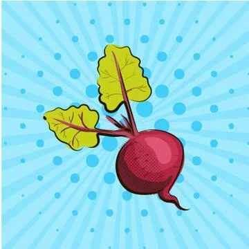 Ripe beet on blue background lines, dots. Hand drawn in style pop art. Vector Stock Illustration