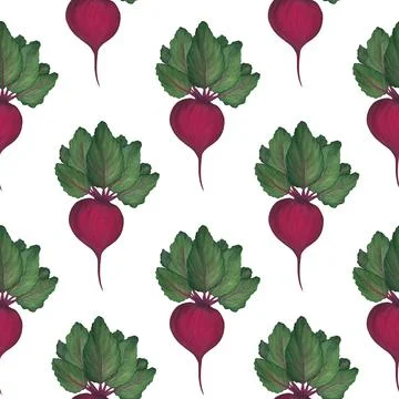 Ripe beet seamless pattern with green leaves on a white background. Root vege 스톡 일러스트