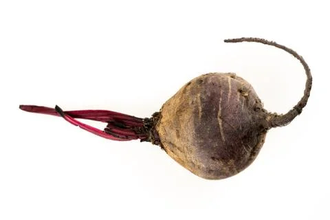 Ripe beets autumn root vegetable on an isolated background Stock Photos