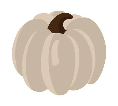Ripe beige pumpkin isolated on white background. Fall harvest gourds. Healthy Stock Illustration