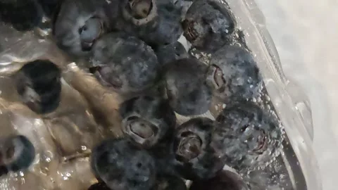 Ripe berries float in the water Stock-Footage 318799929