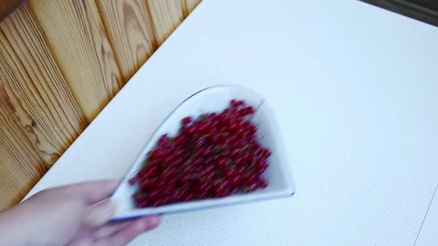 Ripe berries. Stock Footage 80340042