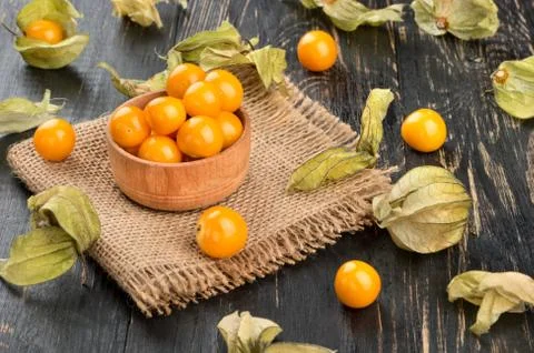 Ripe berries physalis Stock Photos