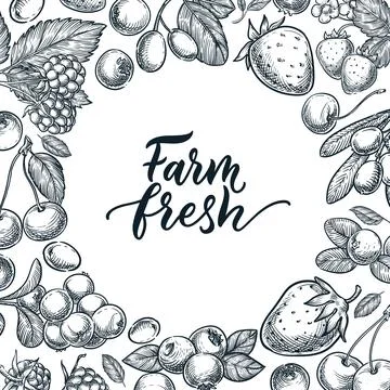 Ripe berries square frame. Vector hand drawn sketch illustration of raspberry Stock Illustration