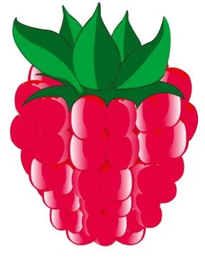 Ripe berry raspberry Stock Illustration