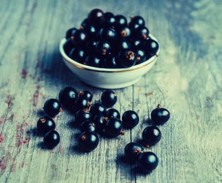 Ripe black currant Stock Photos