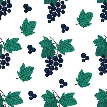 Ripe black currant seamless pattern. Sprig of black currant. Vitamin berries Stock Illustration