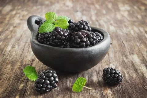 Ripe blackberries Stock Photos