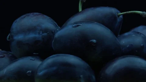 Ripe blue plums 스톡 동영상 79824426