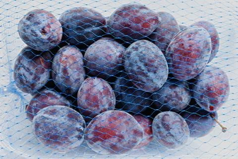 Ripe blue plums in plastic container and blue net mesh Stock Photos