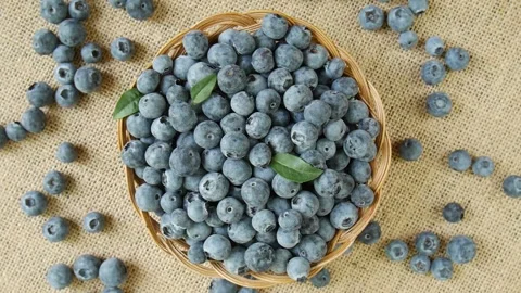 Ripe blueberries in a basket. Stock Footage 295834736