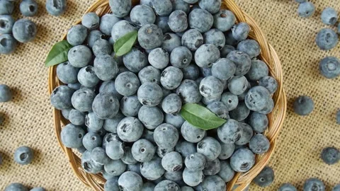 Ripe blueberries in a basket. Video stock 297097015