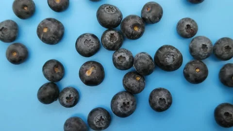 Ripe blueberries on a blue background Stock Footage 168912412