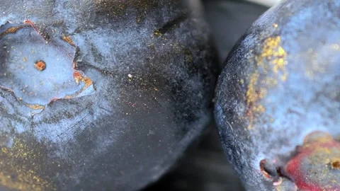 Ripe blueberries macro view. The texture of fresh blueberry. Fruit background. Video stock 301515422