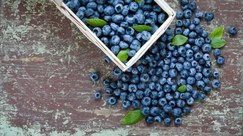 Ripe blueberries on table Stock Photos