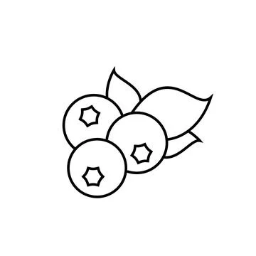 Ripe blueberry fruit vector icon outline. EPS 10. Natural food illustration Stock Illustration