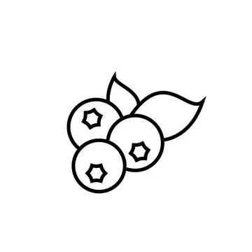 Ripe blueberry fruit vector icon outline. EPS 10. Natural food illustration Stock Illustration