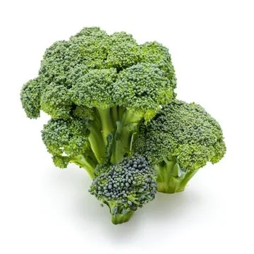Ripe broccoli crops Stock Photos
