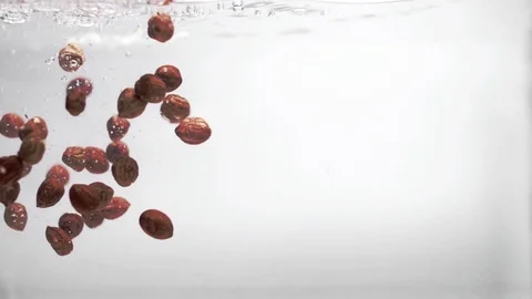 Ripe brown hazelnut for hazelnut paste Stock Footage 102651562