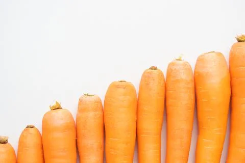 Ripe carrots in an oblique line from bottom to top from left to right Stock Photos