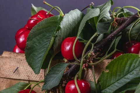 Ripe cherries in a box on the table close up Stock Photos