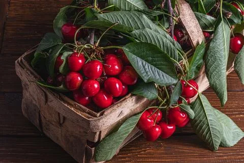 Ripe cherries on branches in a box on the table close up Foto stock