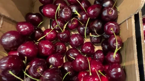 Ripe cherries in cardboard boxes seen Stock Footage 313758621